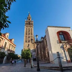  Appartement Hernando Colon 12
